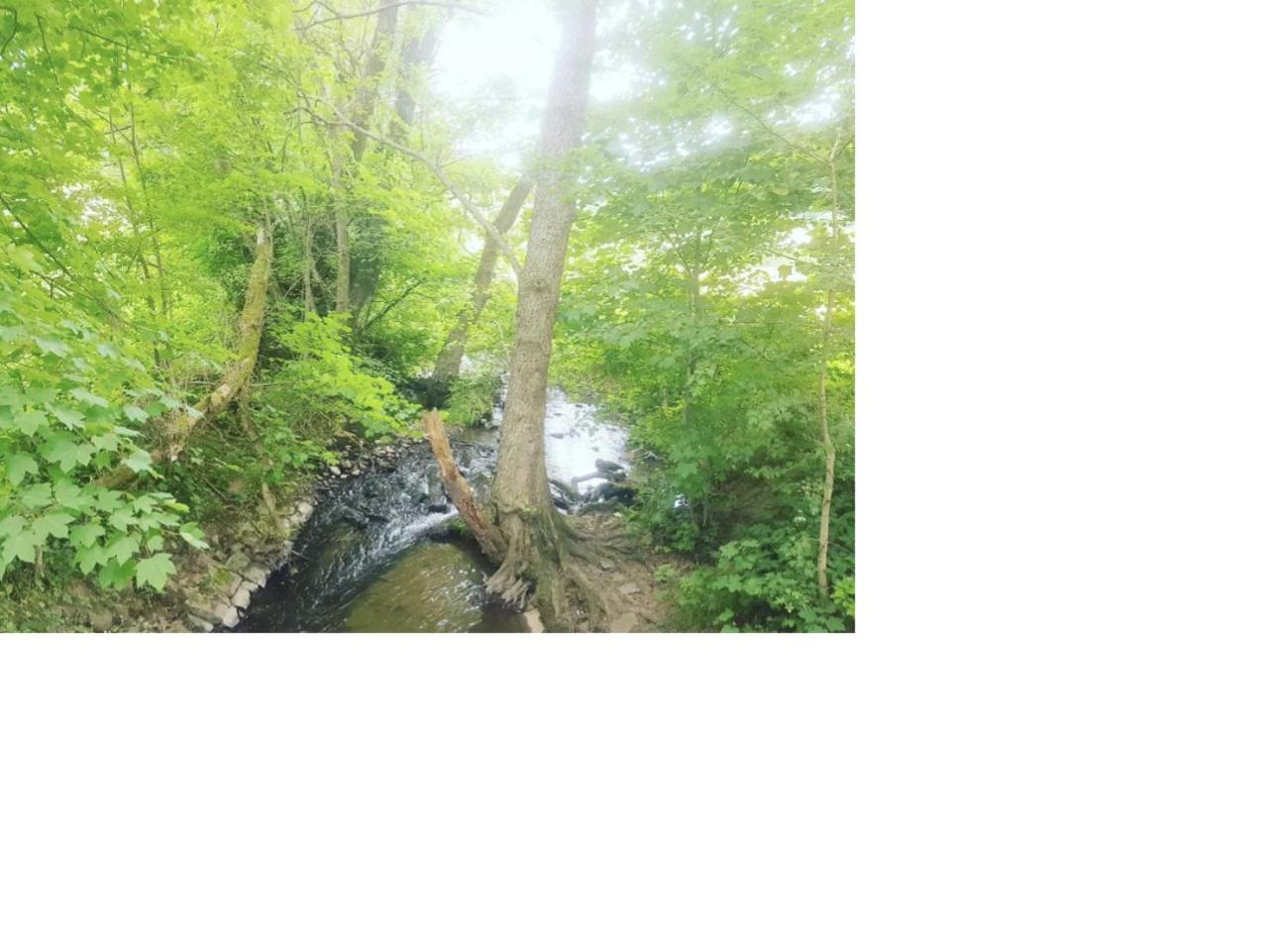 Aussergewoehnliche Auszeit - Metime1 Felsberg Kültér fotó